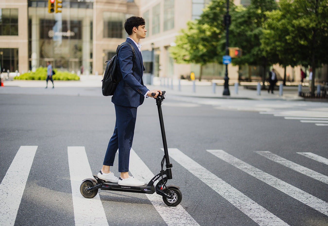 Dual-shock absorbers