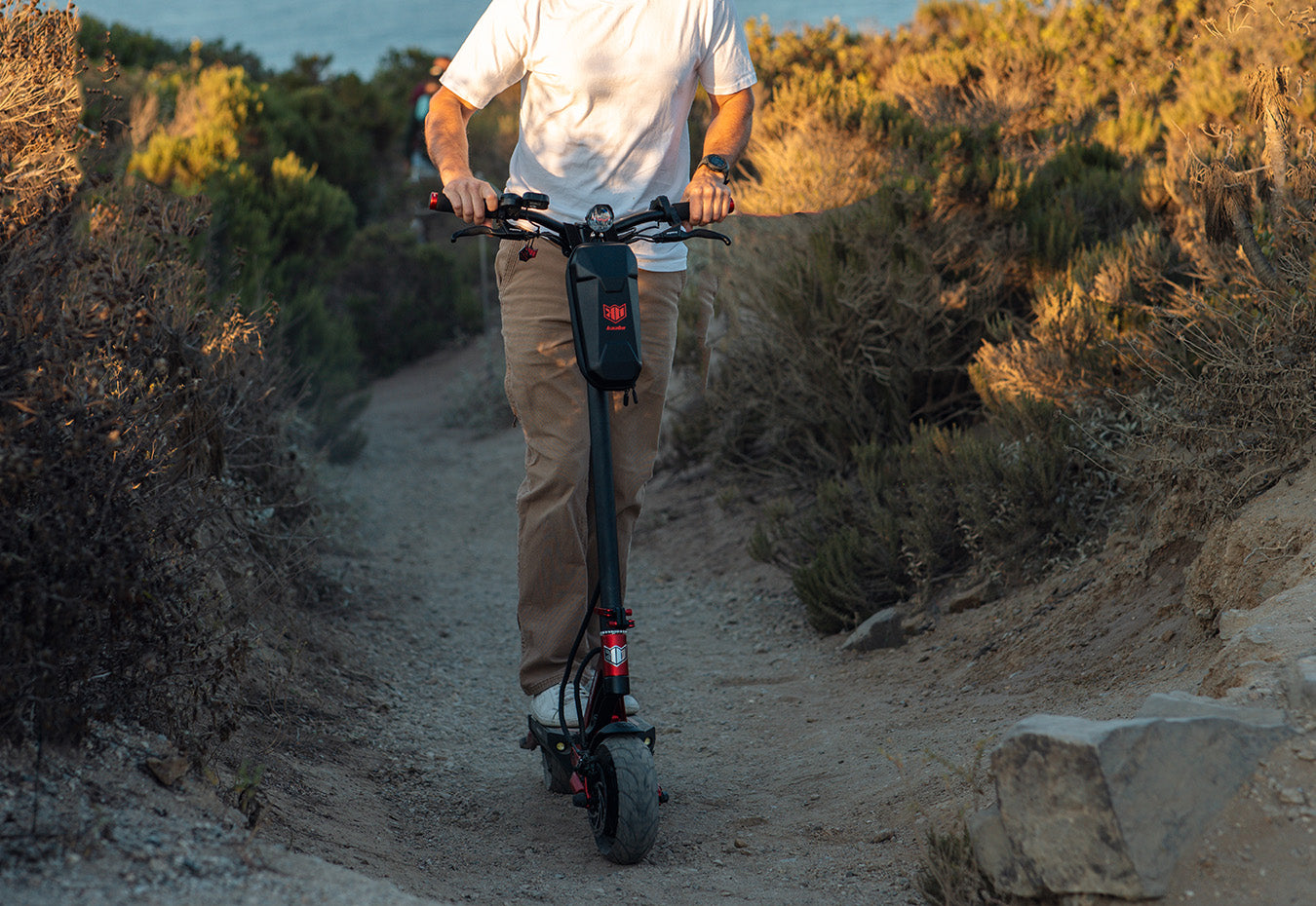 Dual Shock Absorbers