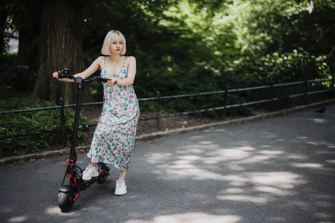 Why Kaabo Dual Motor