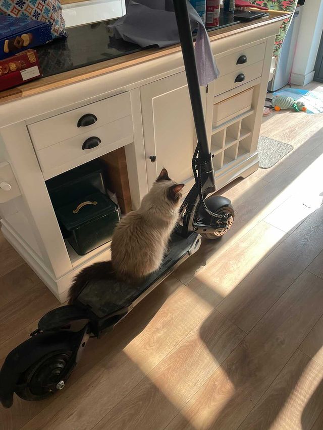 Tips on How to Store Your Kaabo Electric Scooter - Kaabo USA