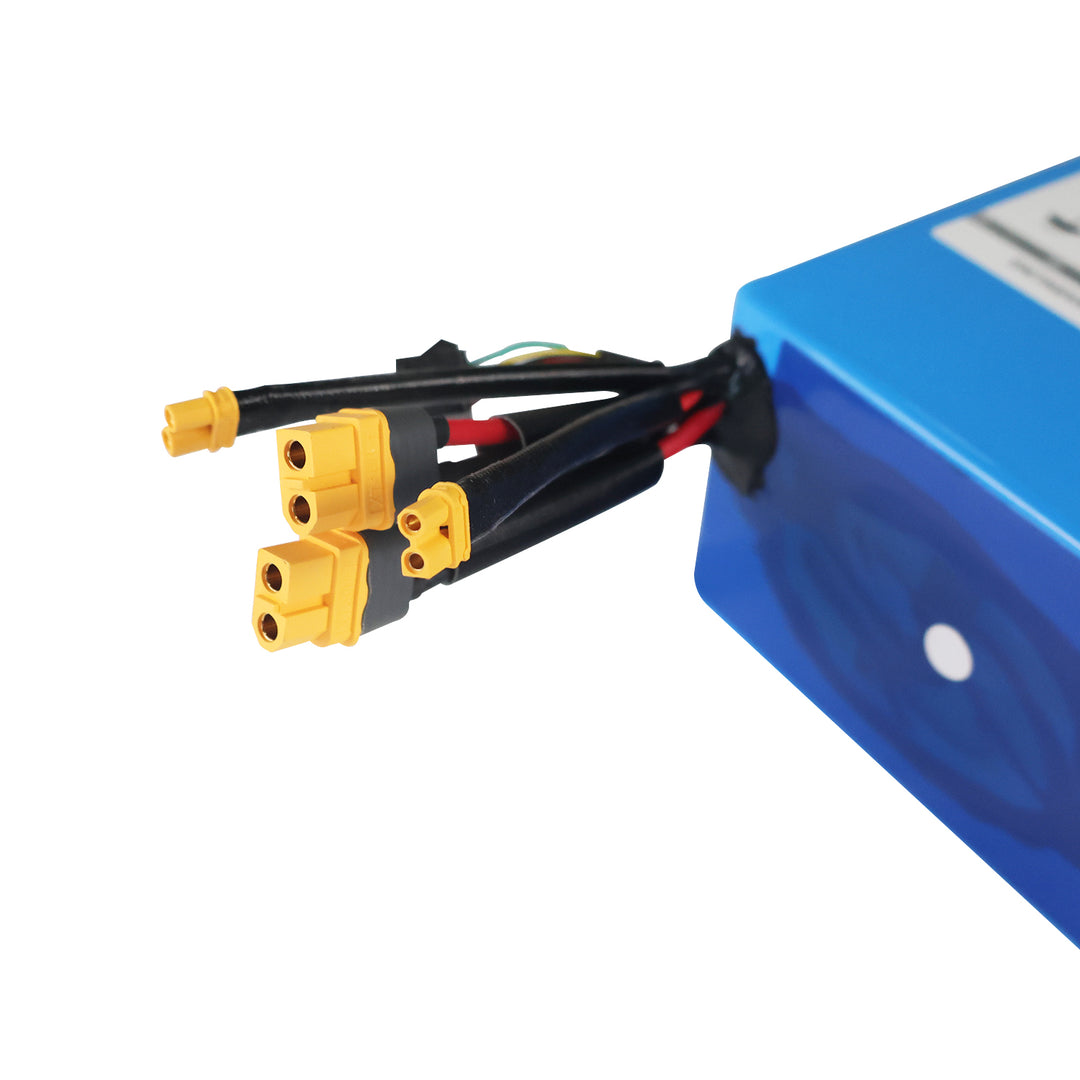 60V27AH Battery for Warrior X Max