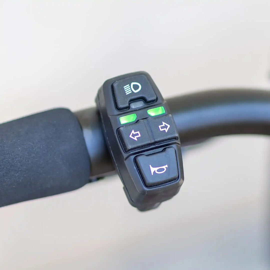 Close-up of a kaabo mantis 10 lite electric scooter handlebar control panel with various buttons on a blurred background