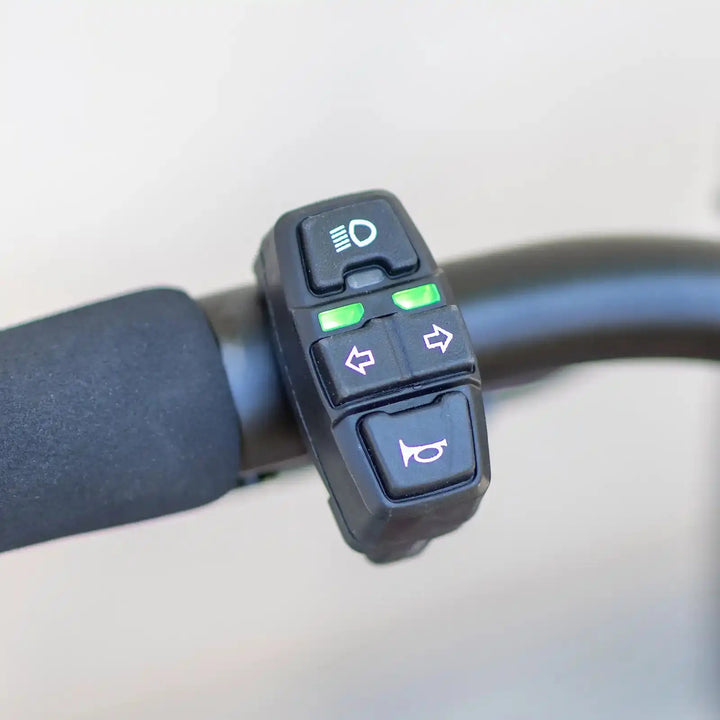 Close-up of a kaabo mantis 10 lite electric scooter handlebar control panel with various buttons on a blurred background